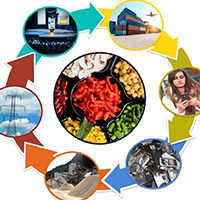 Tobacco & Nicotine: Public Health, Science, Policy, and Law